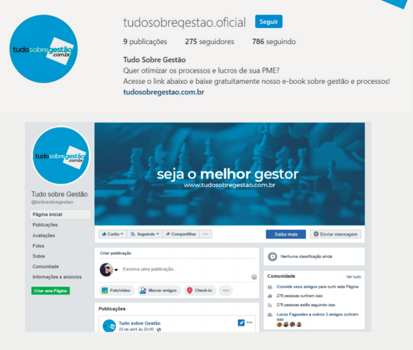 Facebook e Insta tudosobregestao